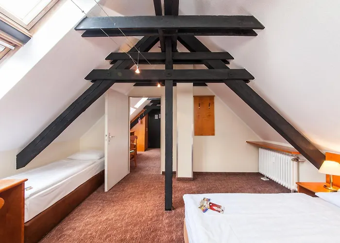 Hotel Ahl Meerkatzen